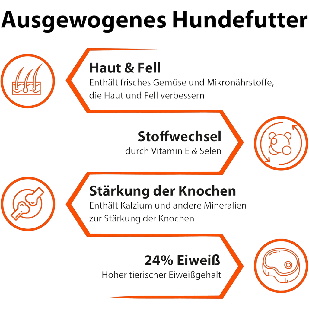 Infografik mit Vorteilen von ausgewogenem Hundefutter: Unterstützung von Haut und Fell, Stoffwechsel, Knochenstärke und hohem Eiweißgehalt