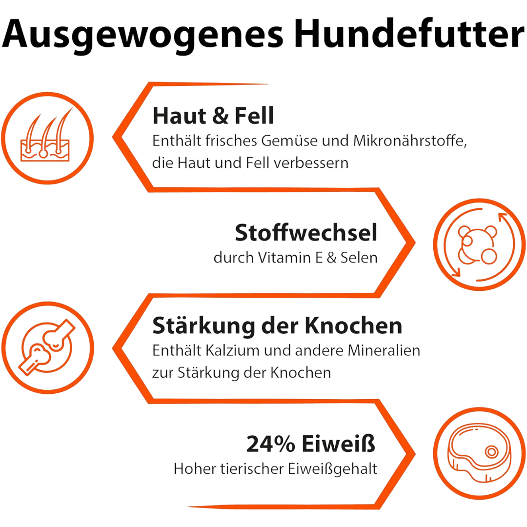 Infografik mit Vorteilen von ausgewogenem Hundefutter: Unterstützung von Haut und Fell, Stoffwechsel, Knochenstärke und hohem Eiweißgehalt